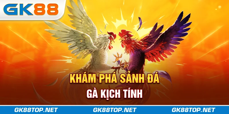 Khám phá sảnh đá gà kịch tính